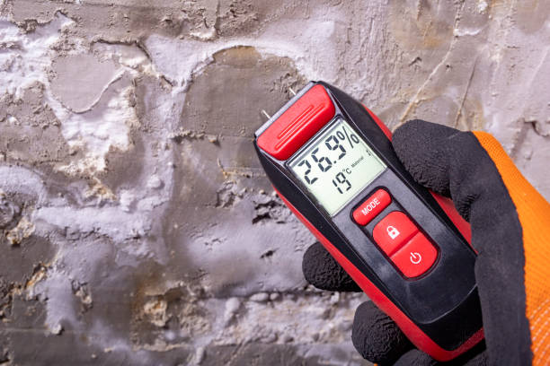 Office Mold Removal Services in Southside, AL