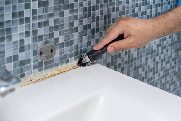 Best Home Mold Removal  in Southside, AL
